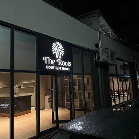 The Roots Boutique 4* שקודר