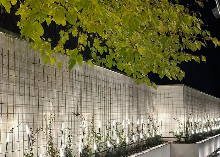 Отель The Roots Boutique Шкодер